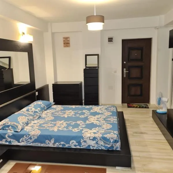 Studio 23 Constantin Brancoveanu, Craiovita, Self check-in, hotel v destinaci Craiova
