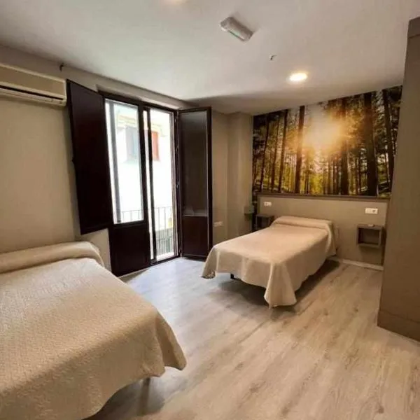 Hostal Viena Plaza Nueva, hotel v destinaci Granada