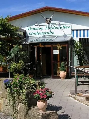Pension Lindenallee, hotel in Neuendettelsau