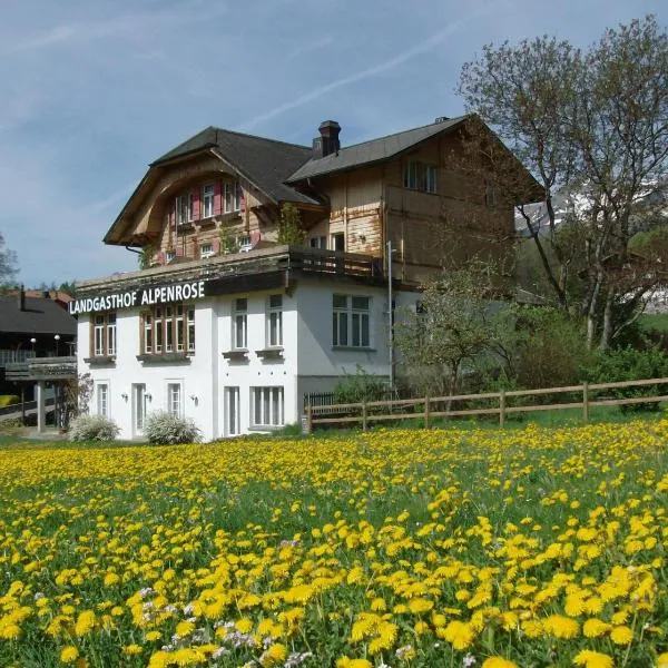 Hotel Alpenrose beim Ballenberg, hotel v destinaci Brienz