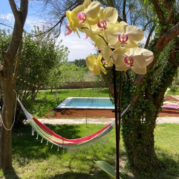 Roulottes & SPA du pont des charrettes, hotel in Uzès