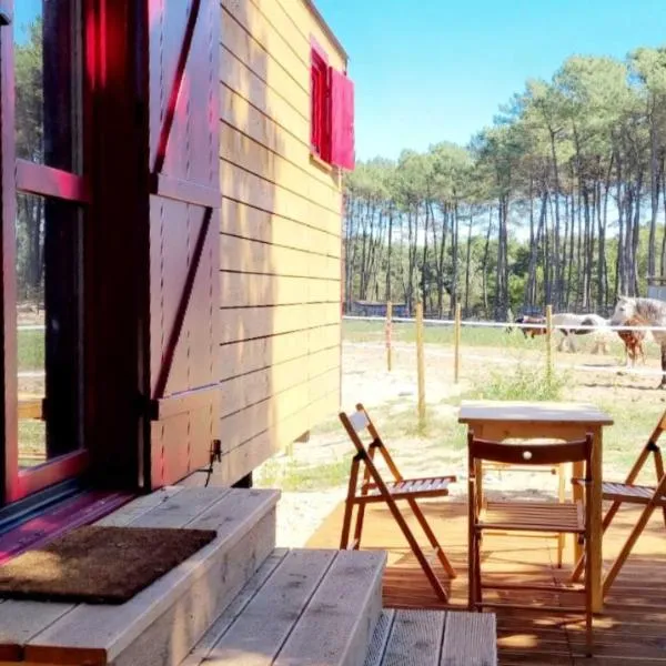 Roulottes cocooning au coeur des Landes, hotel di Magescq