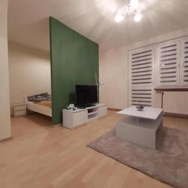 Mieszkanie nad Sanem, hotel v destinaci Přemyšl