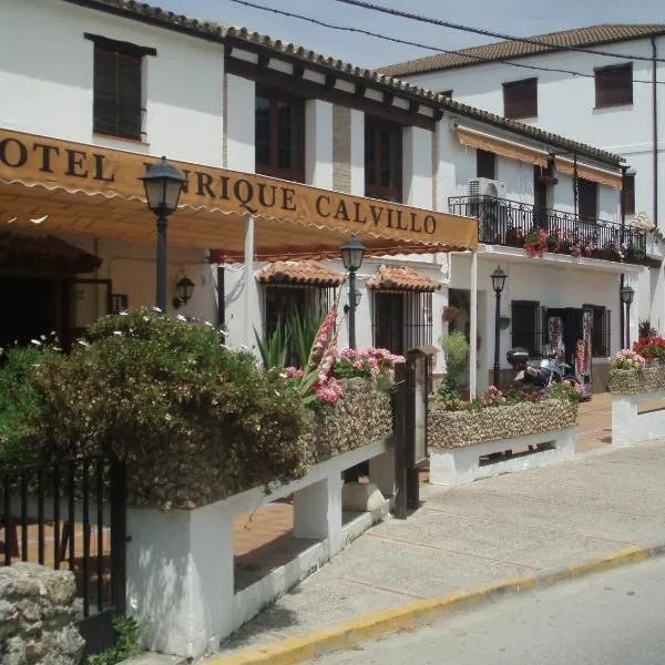 Hotel Enrique Calvillo, hotel u gradu El Boske