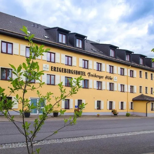 Erzgebirgshotel Freiberger Höhe, hotel in Grünhainichen