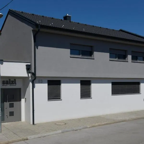 Weingut und Gästehaus Salzl Martin, hotel v destinaci Illmitz