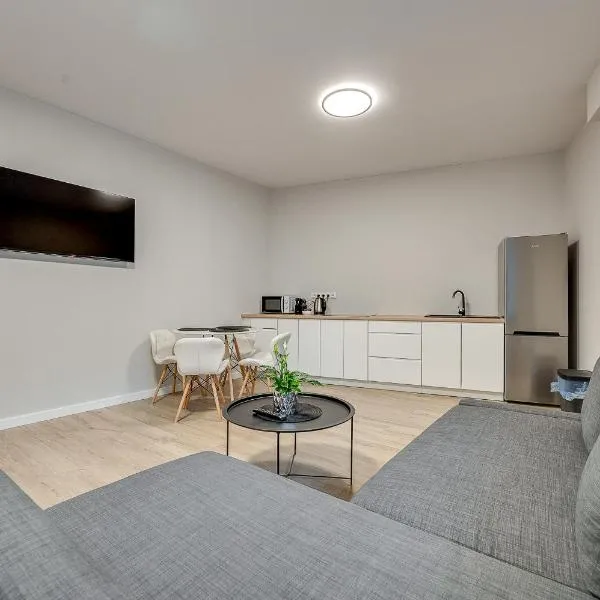 Central Platinum Apartments 22, hotel v destinaci Rybnik