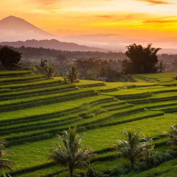 Kubu Pinge, hotel di Angsri