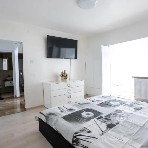 Apartament CENTRAL, hotel in Târgu Jiu