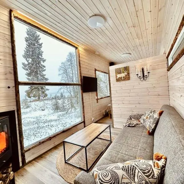 Unique Cabin with Breathtaking Northern Light View