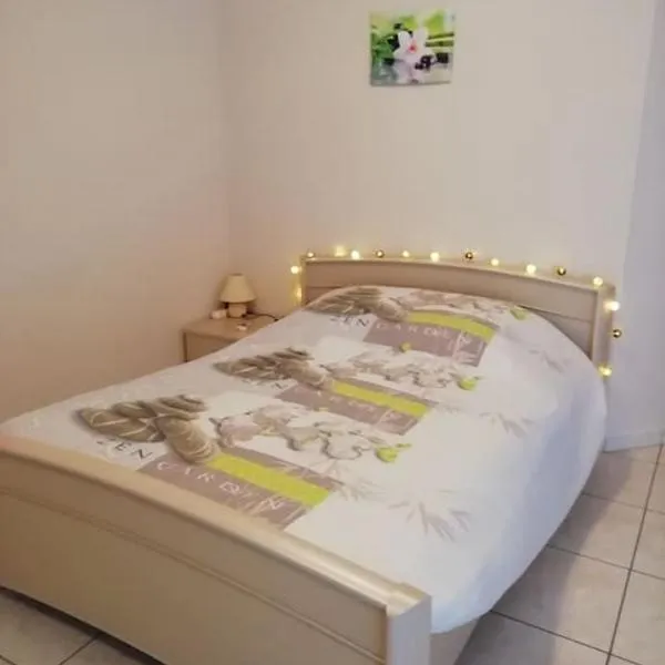 Appartement agréable, hotel in Haguenau