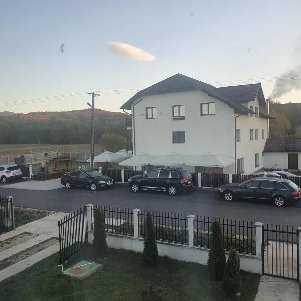 Pensiunea Ronicson, hotel in Miloştea
