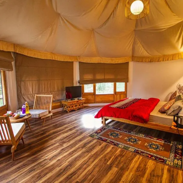 Chalet Seabuckthorn - Hunder, hotel in Nubra