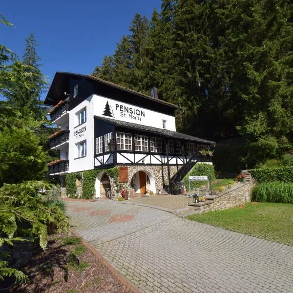 Pension St. Moritz、ジェレズナー・ルダのホテル