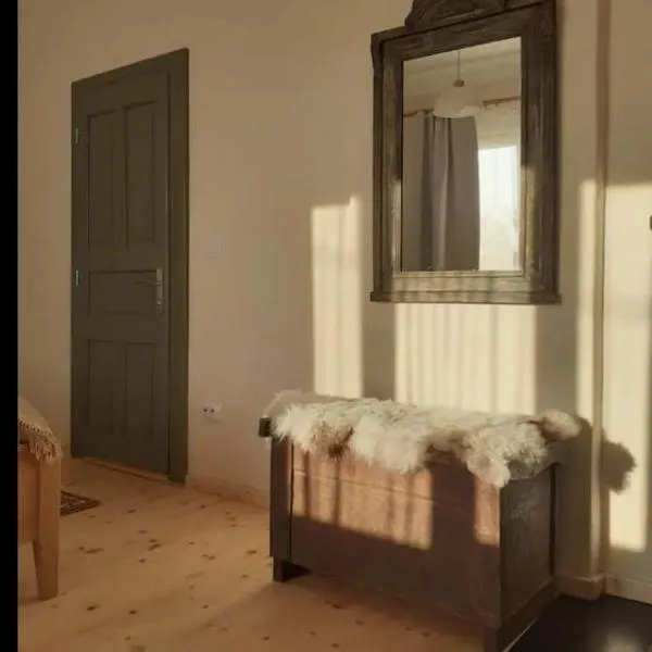 Petersen, hotel v destinaci Sibiu