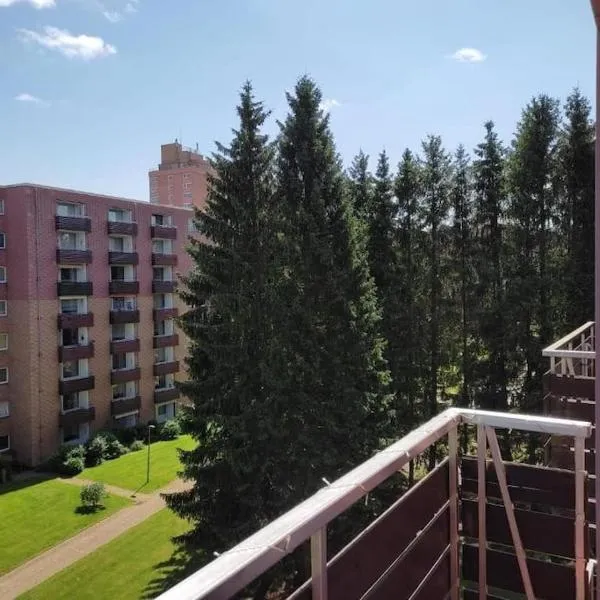 FeWo Schneeglocke. Das gemütliche Stübchen!, hotel in Altenau