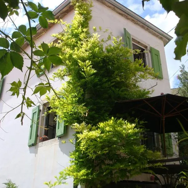Casa Pino Pina, hotel in Motovun