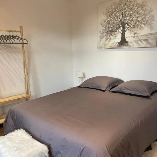 Les Appartements du Cep’t, hotel v destinaci Mazamet