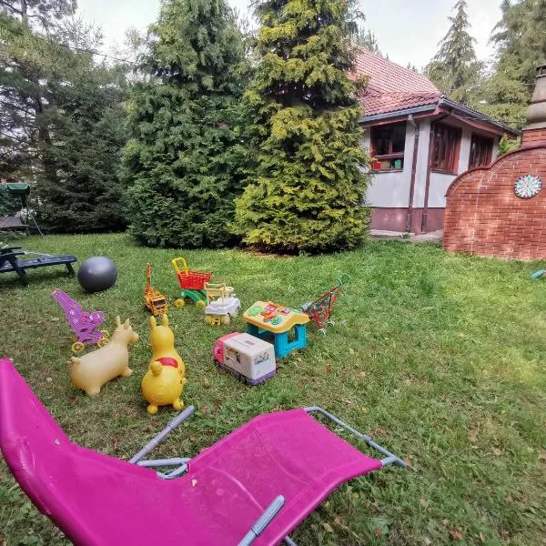 Vila Idila, viešbutis mieste Divčibare