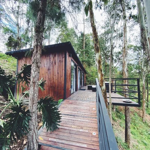 Casa Manoah - Cabin in the woods, hotel v destinaci Rionegro