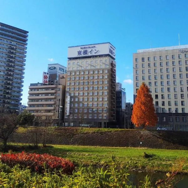 Toyoko Inn Morioka eki Minami guchi Ekimae, hotel in Takizawa