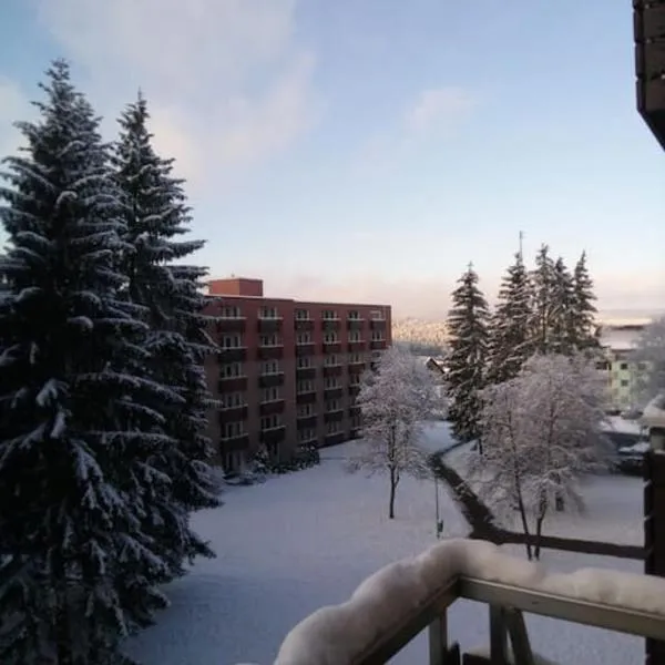 FeWo Eisblume. Erholung im wunderschönem Harz!, hotel in Altenau
