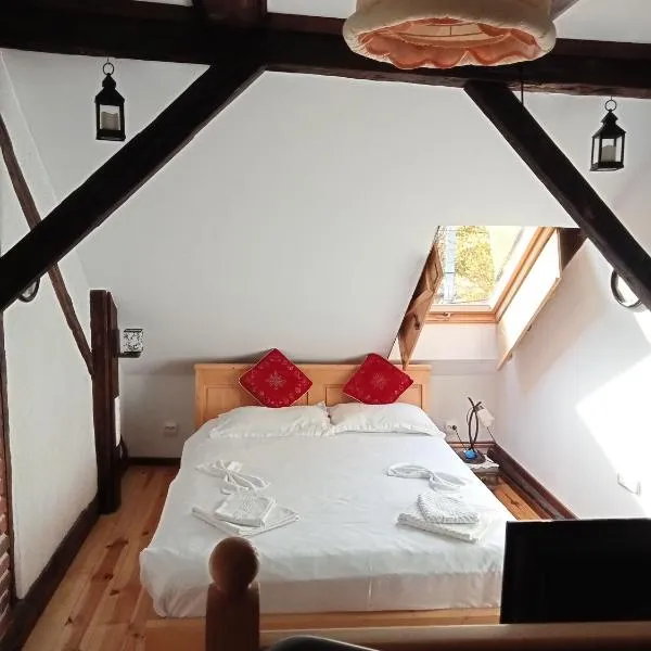 Residence Gölsch 161, hotell sihtkohas Sînpetru