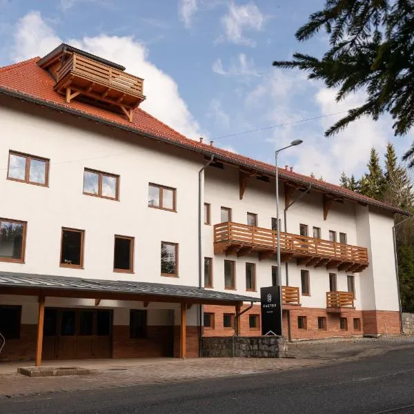 Castor, hotel v destinaci Harghita-Băi