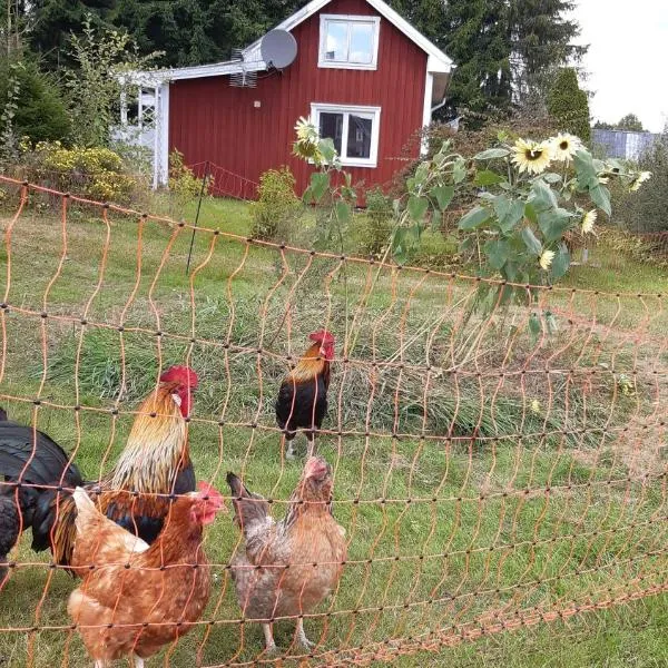 Stuga Åsnagård, hotel v destinaci Torsby