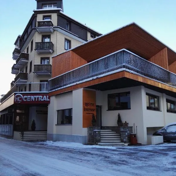 Hotel Central, hotel di Engelberg