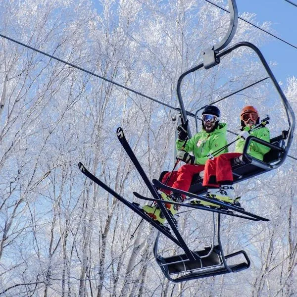 Shiga Kogen Olympic Hotel, отель в городе Яманоути