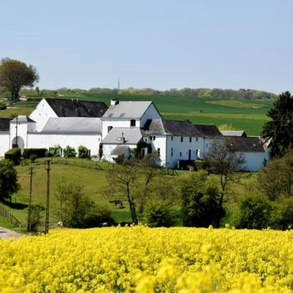 La ferme de Basseilles, hotel v destinaci Mozet 