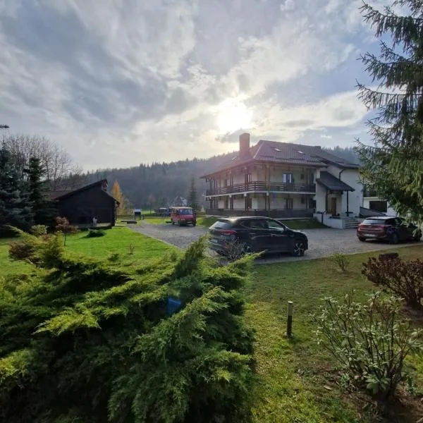 Pensiunea Irina, hotel v destinaci Vama