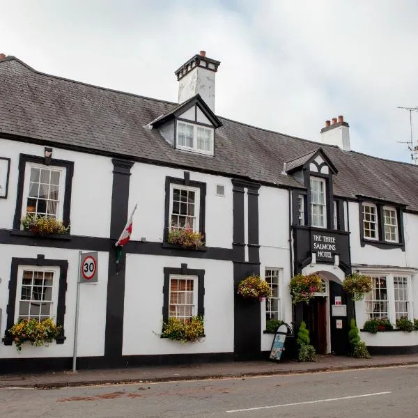 Three Salmons Hotel, hotel in Pontypool