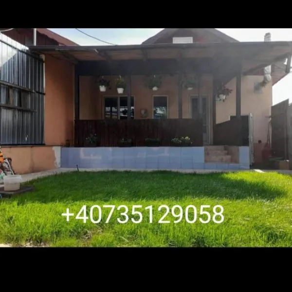 Central city house, hotel v destinaci Tulcea