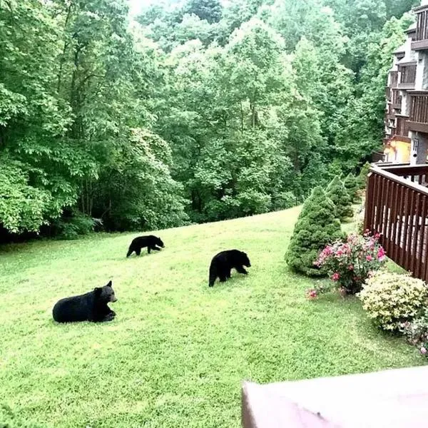 VIEWS & FIREPLACE - Minutes to Gburg and Ober - Condo, hotel v destinaci Gatlinburg