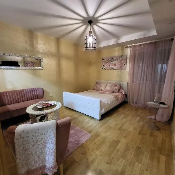 Apartman Golden Rose, hotel in Loznica