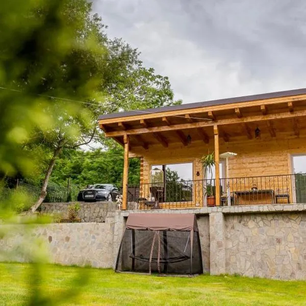 Mon Resort by Ana1St, hotel in Scărişoara