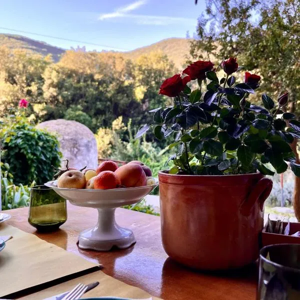 캄필리아 마리티마에 위치한 호텔 La Fucinaia Pet Friendly B&B