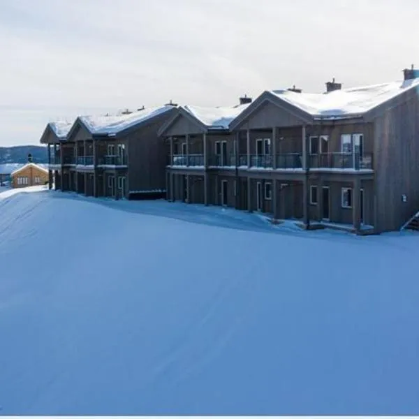 Perfect Christmas atmosphere! Beautiful Apartment at Skagahøgdi with Panoramic View, hotel a Magnetun