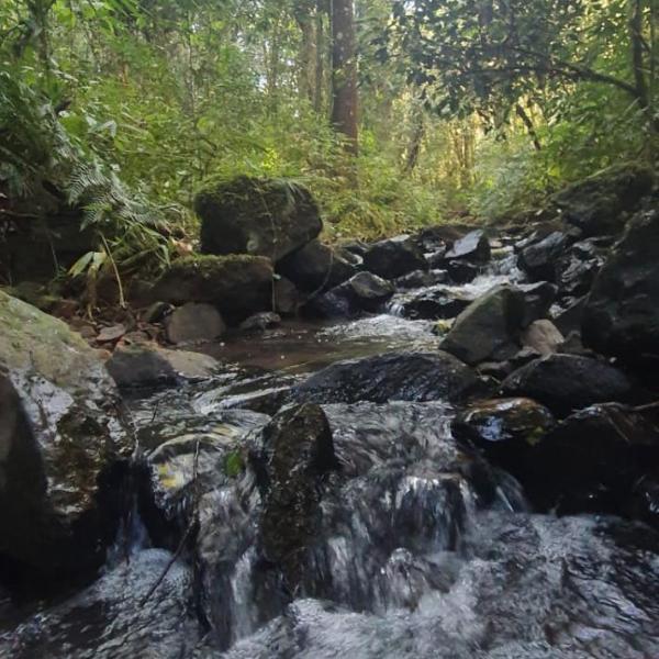 Chácara paraíso dá paz - Foto 5