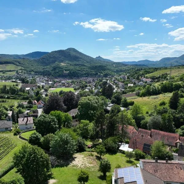 Hotel Berghof, hotel en Annweiler am Trifels