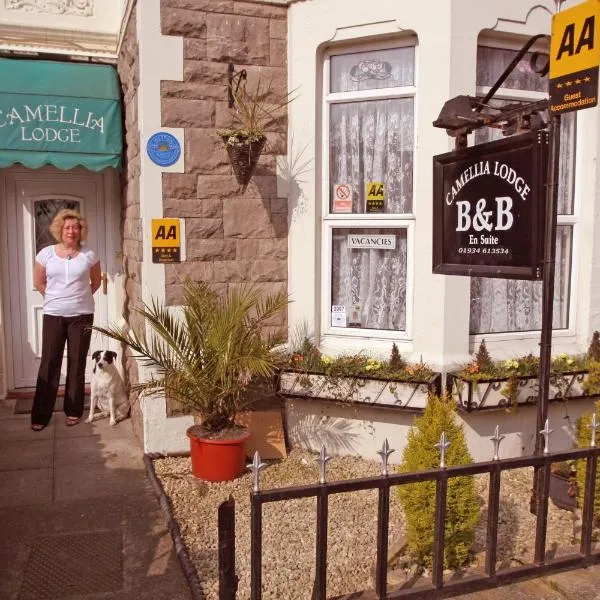 Camellia Lodge Guest House, hotel a Brent Knoll