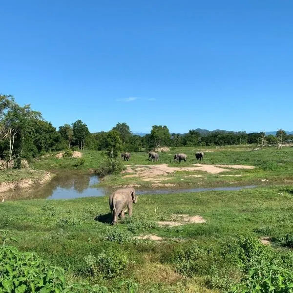 I love phants Lodge, hotel di Ban Tha Mai Ruak