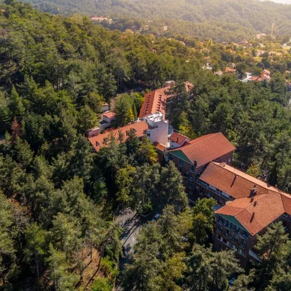 Forest Park Hotel, hotel a Platres