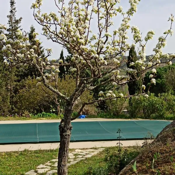 Le Rocher au Thym, ξενοδοχείο σε Limoux