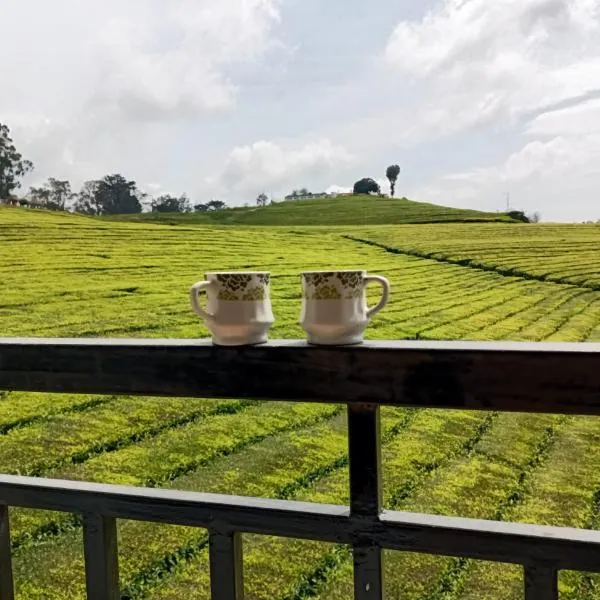 Tea Estate view stay, hotel v destinaci Ooty