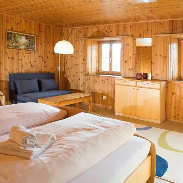 Haus Schmitten - Davos, hotel v destinaci Schmitten