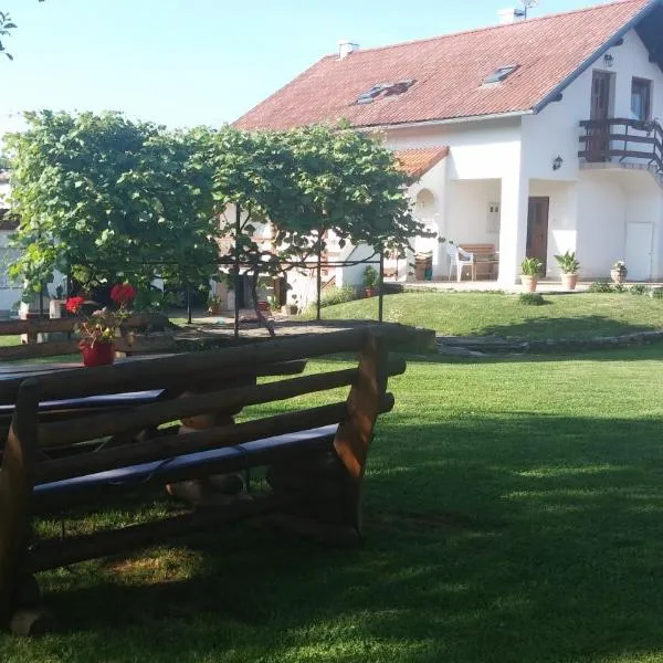 Guest House Family Dukić, Hotel in Rakovica