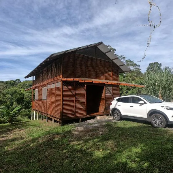 Eco Guest House - Sarapiquí 1, hotel in Tirimbina